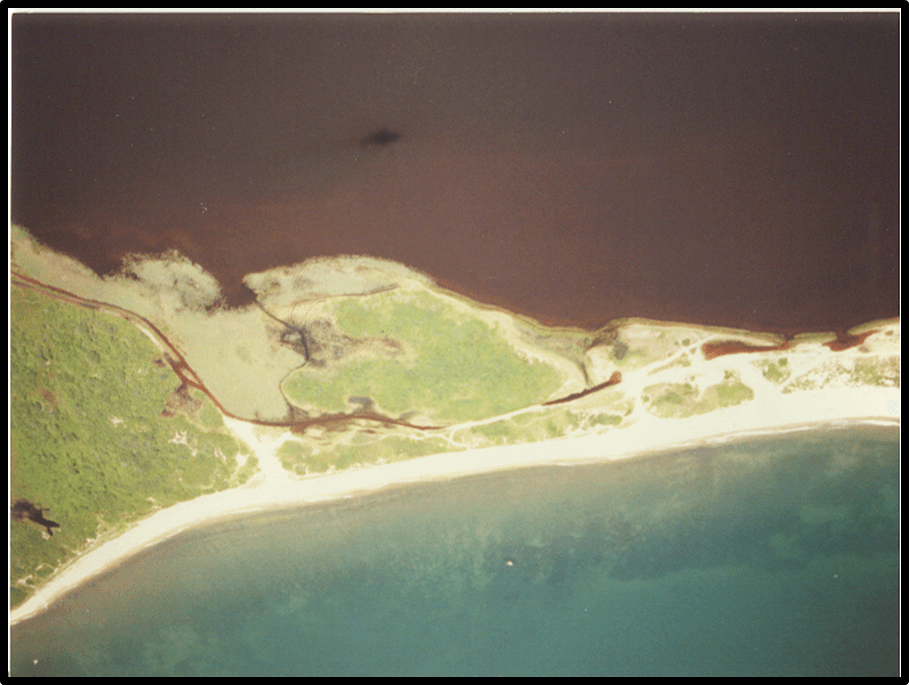 Elizabeth Cosper/Brown Tide Aerial image