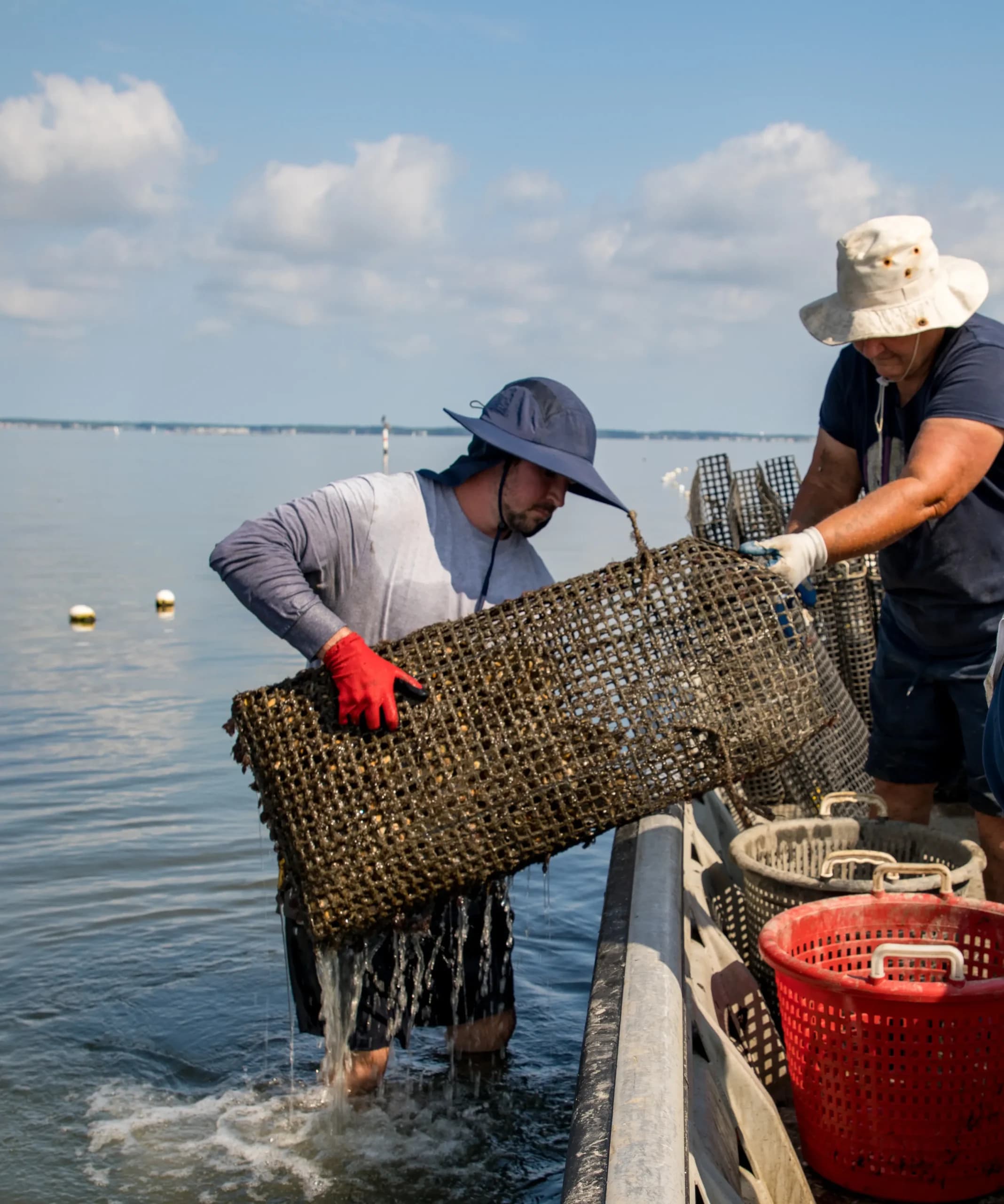Susan McClean/Aquaculture image