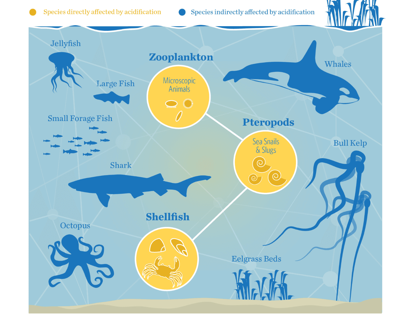 resources-image