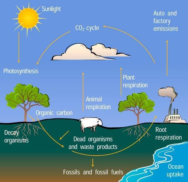 resources-image